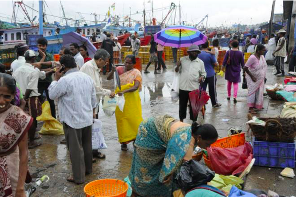 Mangaluru Fishing Harbour Phase III Project 