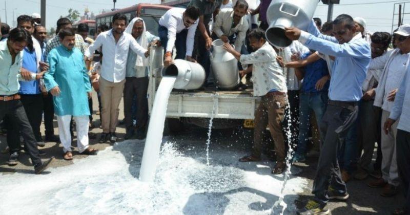 Milk Producers in Himachal Pradesh