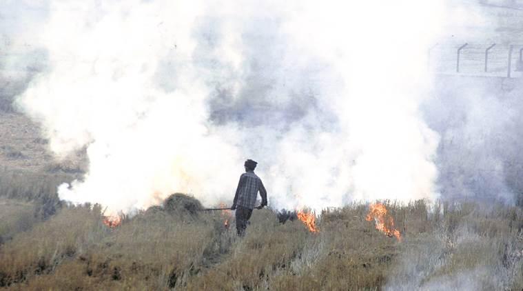 Stubble Burning