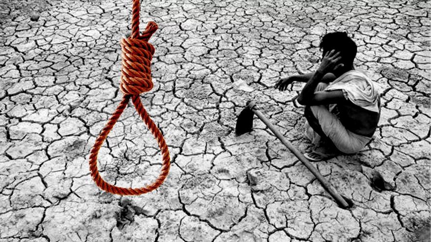 farmers suicide