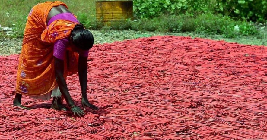 Firecracker Workers Tamil Nadu