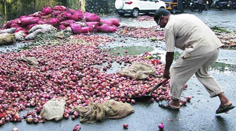 Onion farmers