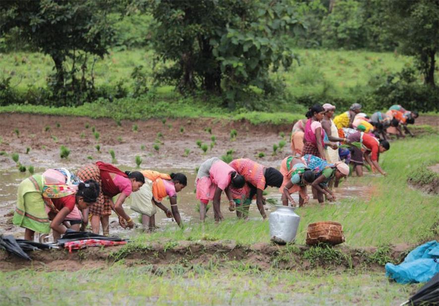 agricultural workers