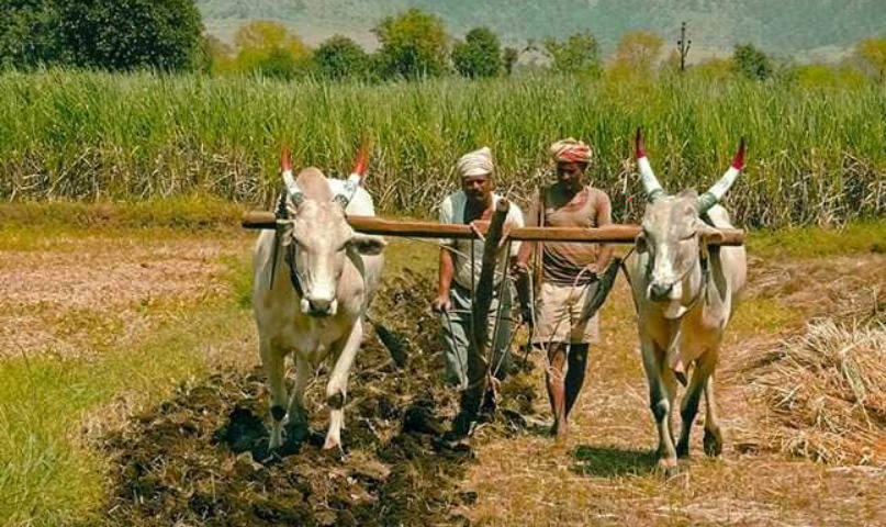 Thousands of Farmers Take to Streets in Gujarat,