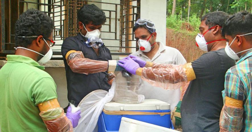 Nipah virus