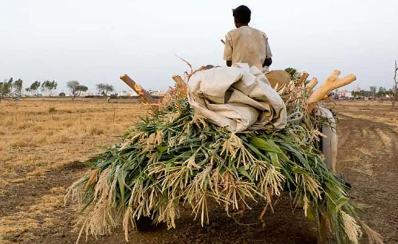 Elections 2019: Farm Loan Waiver