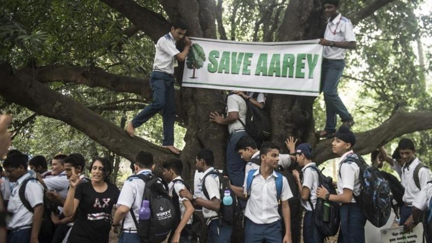 Bombay HC Bars Tree Felling in Aarey