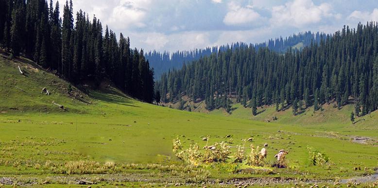 Jammu and Kashmir