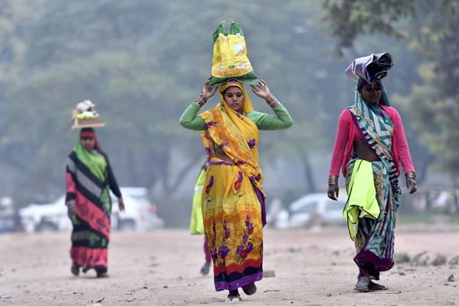 Stark Reality of Women’s Employment in India: Insights from the Periodic Labour Force Survey