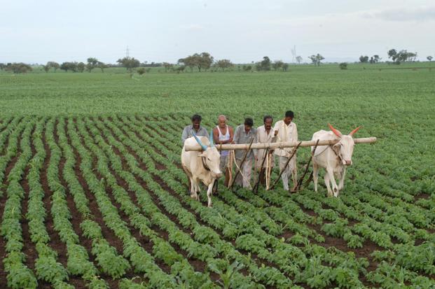 A Coup De Grâce for Farmers and Agriculture