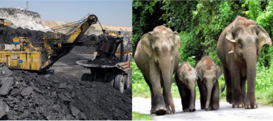 elephant coal mining.