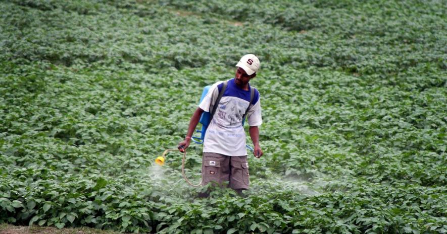 Pesticide poisoning in india