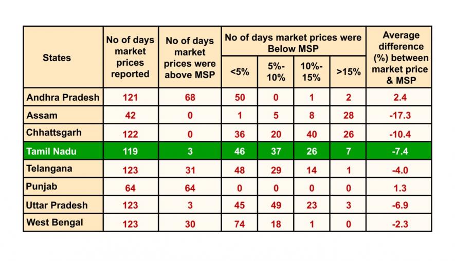 Paddy chart tn2.