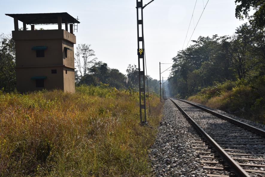 railway track in Rajaji Tiger Reserve