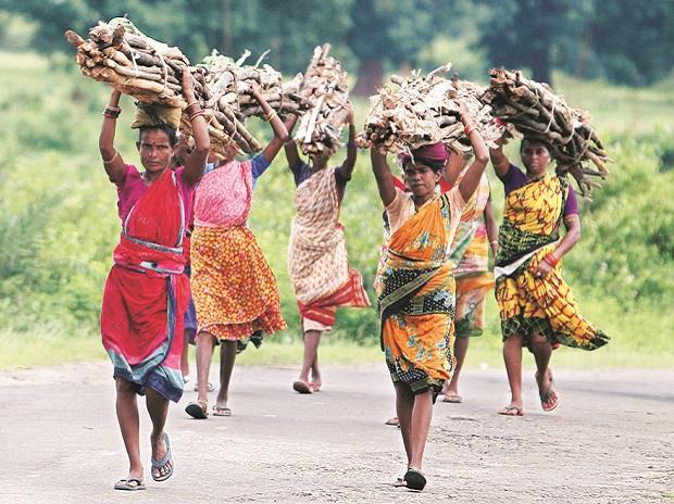 Chhattisgarh: Tribal Families Continue to Face Evictions Despite Land Claims