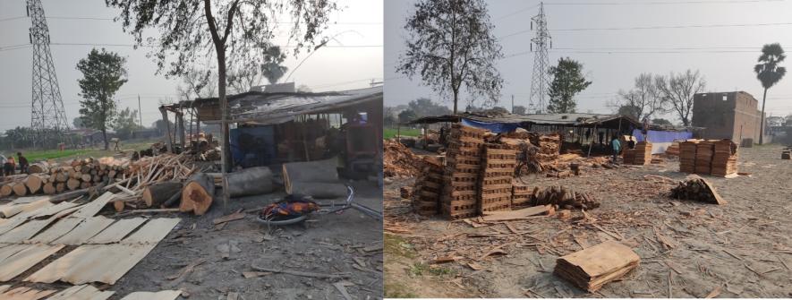 Unlicensed Peeling factories, East Champaran