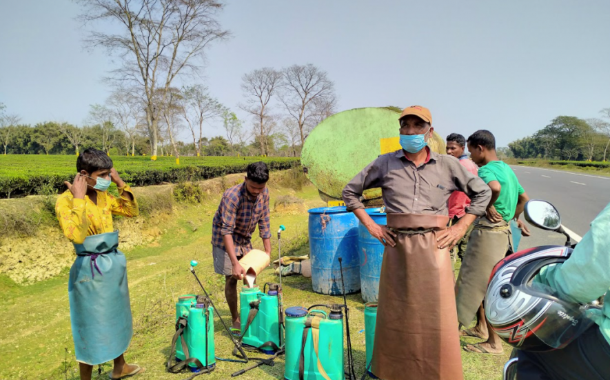 Assam Tea Workers