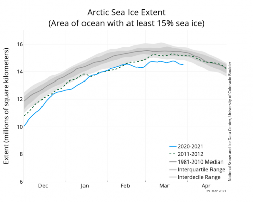 artic