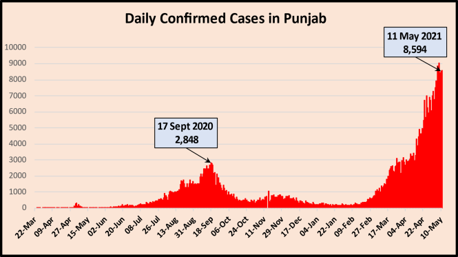 Covid cases Punjab