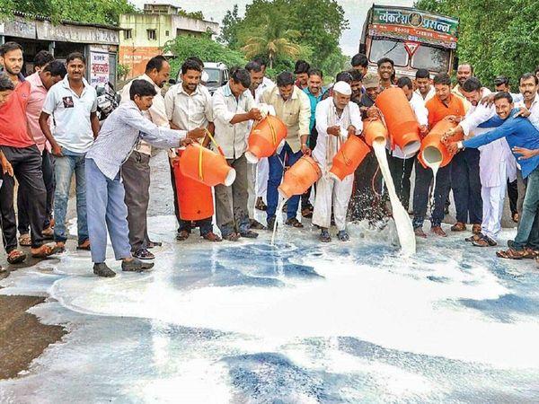 Maharashtra: Milk Producing Farmers to Hold Statewide Protest Against Fall in Prices