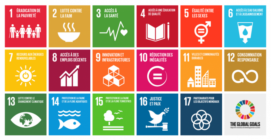 SDG Index India