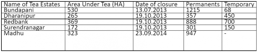 Tea estates of india