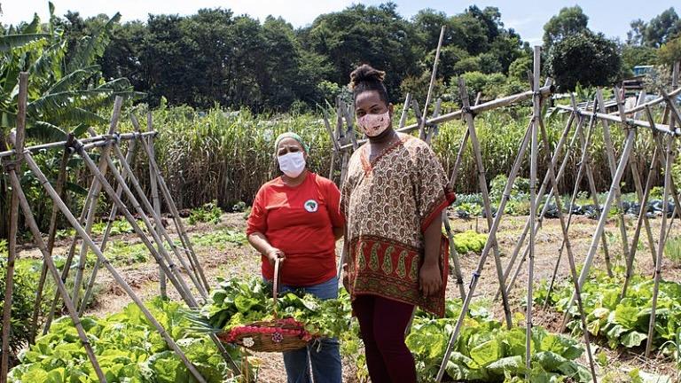 Suely and Kelvin collect vegetables for the collective lunch of the 450 families at Marielle Vive Camp, in Valinhos (SP); Court ruling authorized the eviction of farmers. Photo: Pedro Stropasolas