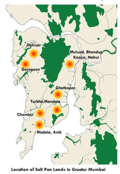Politics and Pressure From Environmentalists Rescue Mumbai's Salt Pan Land For Now