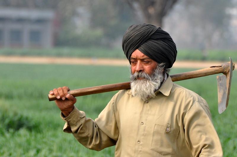 Farmer from the village of Ludhiana in Punjab India. 