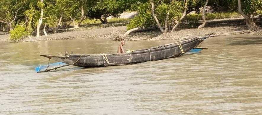 Sunderban