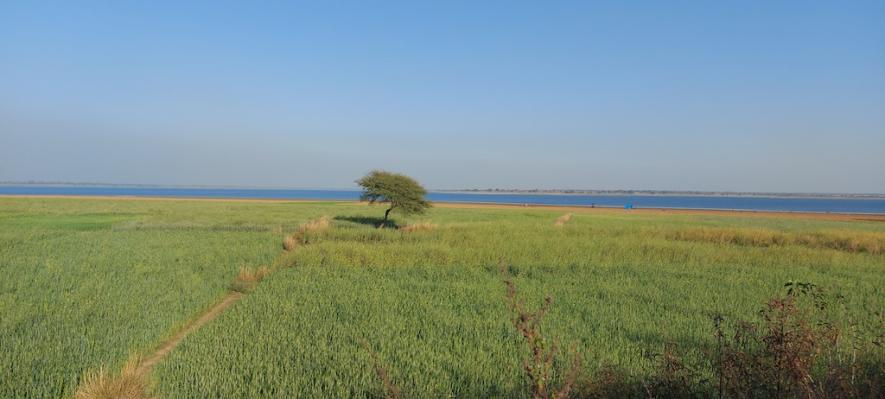 Mirzapur Water