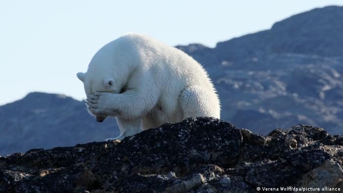 Eco-anxiety can also mean struggling with guilt over humanity's impact on the planet