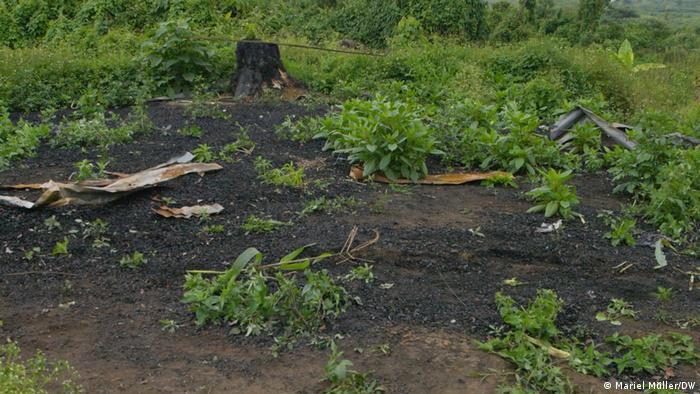 The remains of the school in Bugamande