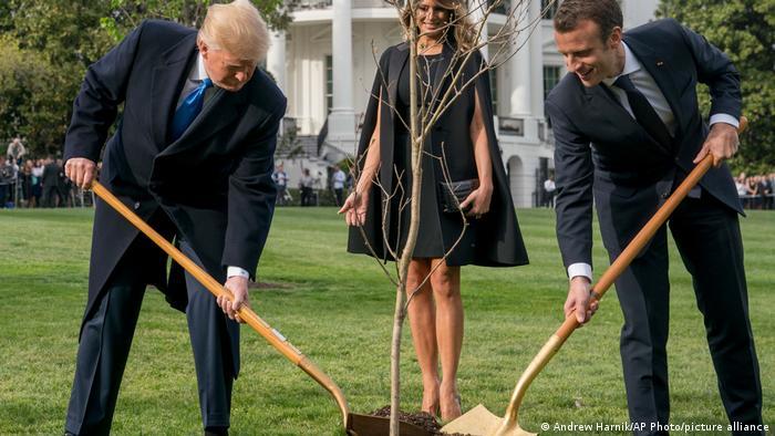 Politicians also like to plant trees, often as a symbolic gesture