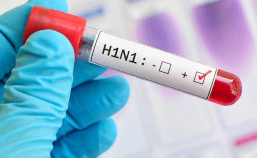 h1n1