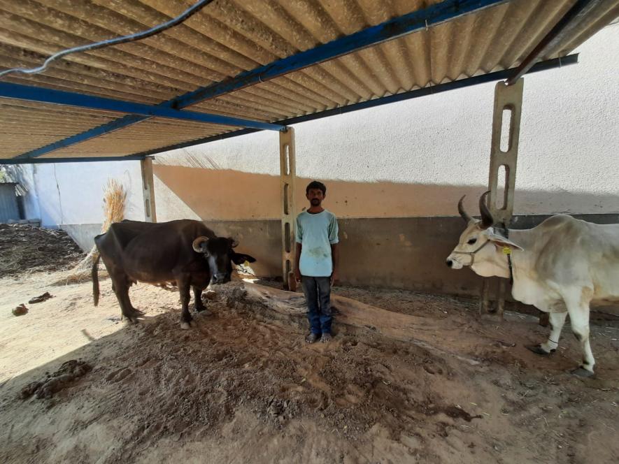  Ramesh inside his stable