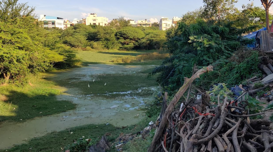 The nearly dry Kacharakanahalli lake and the slum located within its buffer zone