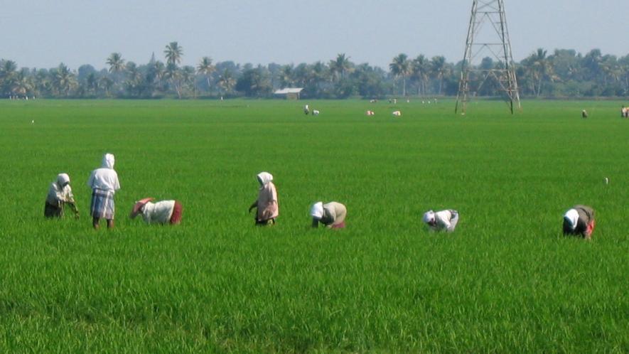 Image Courtesy: Wikimedia Commons