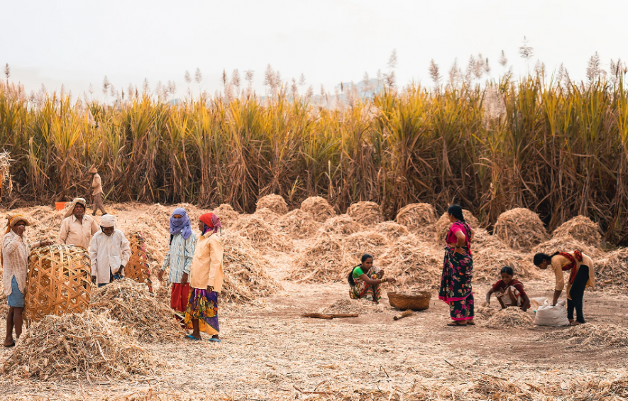 agri workers