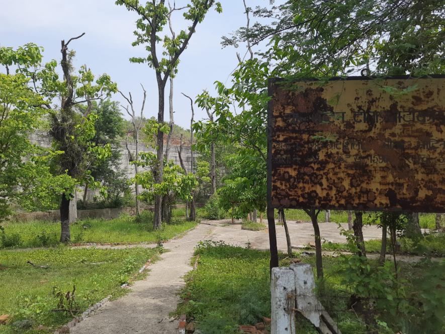 The worship spot for local adivasis who pray at the Sal tree between two tailing ponds where radioactive waste is dumped.