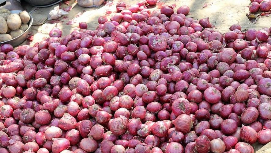 Maharashtra onion farmers protest