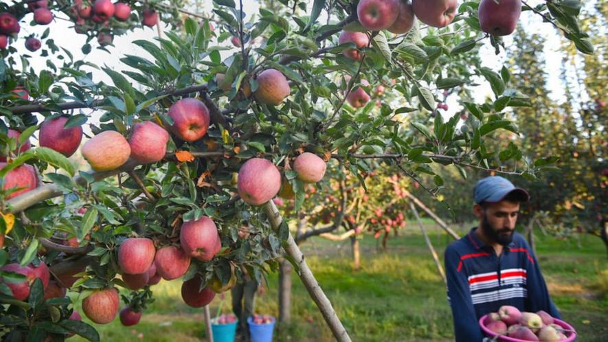 The demonstration was organised by the Centre of Indian Trade Unions (CITU) and Jammu Kashmir Apple Farmers Federation as they highlighted problems faced by residents of the Union territory.