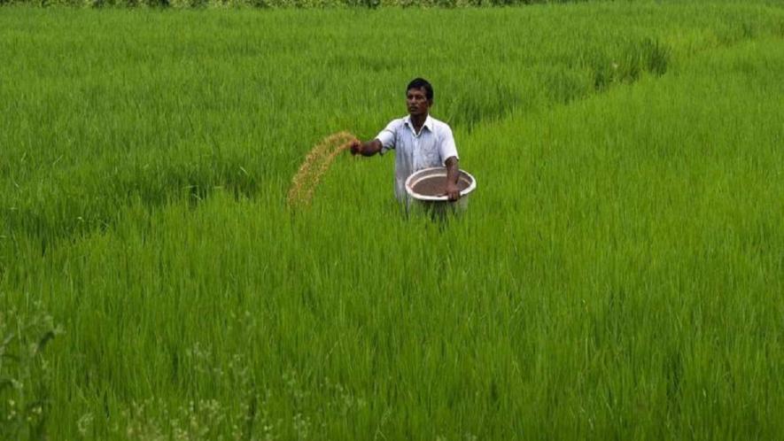 Farmers are forced to buy other products like nano-urea, zinc and sulphur.