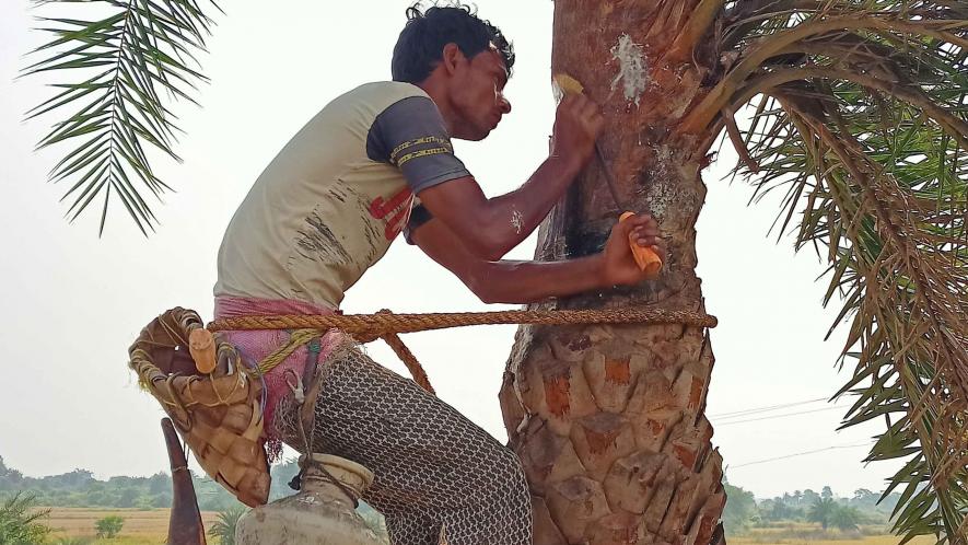 Collecting date juice from Manbazar purulia Palm juice.