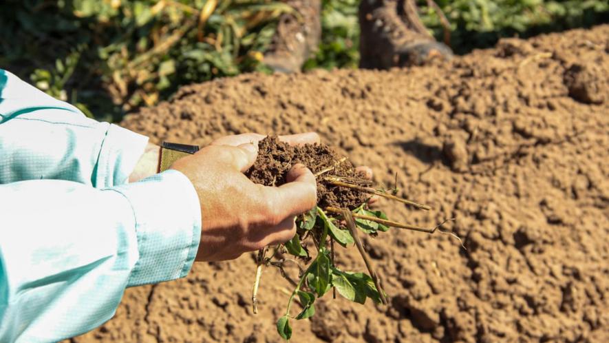 How one North Dakota farmer saved his farm and livelihood using carbon-friendly farming methods.