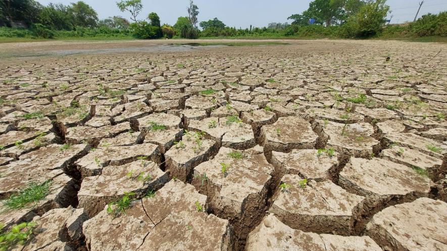 A dried Pond at Kochdihi village’s under Sonamukhi Block, Bankura.