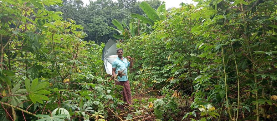 Pradeep with his damaged crops