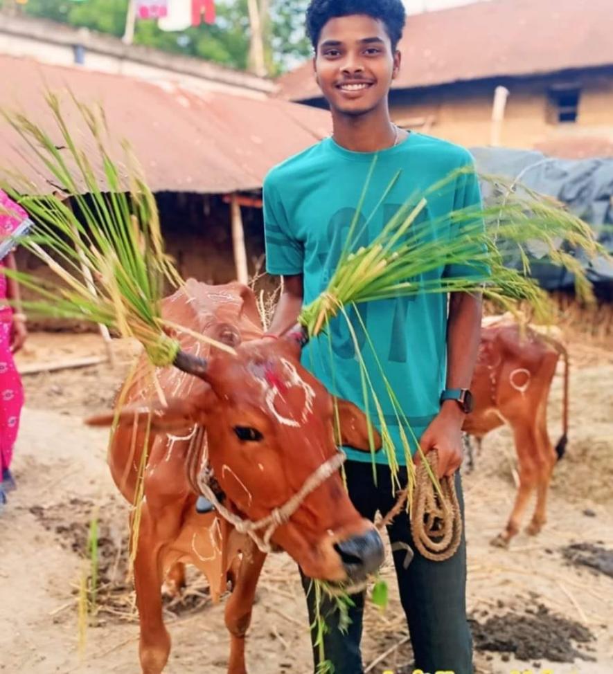 A cow being honoured in this festival at Deuli village, Ranibandh .