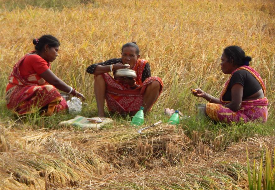 After harvesting, land labourer-cum-sharecroppers Lalti Lohar and Mala Bagdi eating food in the fields at Sanabandh village.