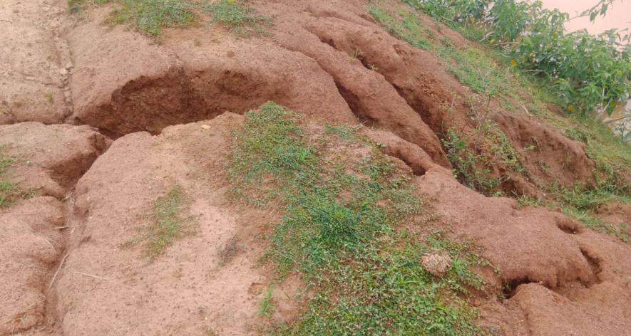 Crack on the pond wall (Photo - Rahul Singh, 101Reporters).